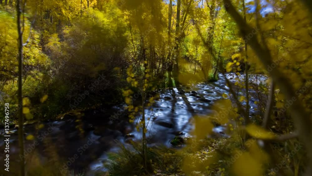 MoCo Astro Timelapse of Fall Foliage by River in Eastern Sierra -Zoom In- MoCo Astro Timelapse of Fall Foliage by River in Eastern Sierra -Zoom In-