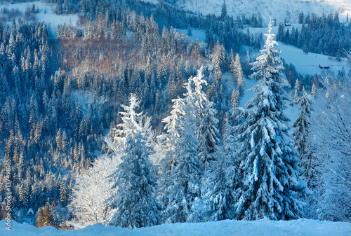 Winter Carpathian Mountains landscape, Ukraine.