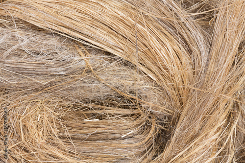 raw flax fiber photo