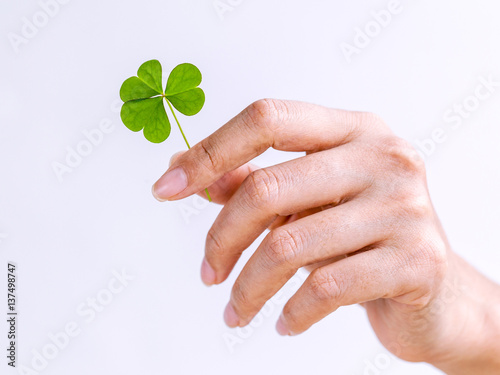 The girl holding Clovers leaves on white background. The symbolic of Clover the first is for faith, the second is for hope, the third is for love.