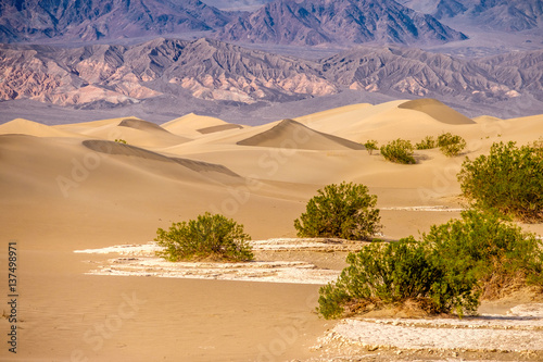 Death Valley National Park, Mesquite dunes
