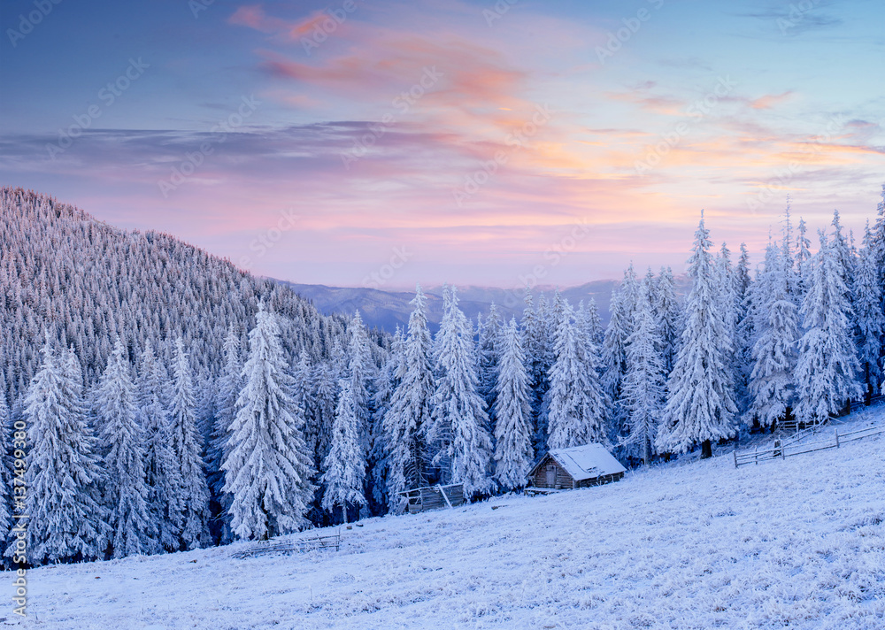 Fototapeta premium Cabin in the mountains in winter. Mysterious fog. In anticipatio