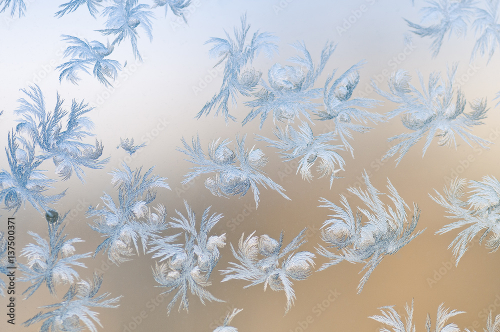 Fototapeta premium Frosty patterns on glass. Winter background.