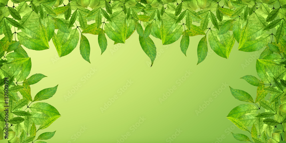 Spring in the park. Panorama. Leaves background. Spring in the park. Panorama. Leaves background.