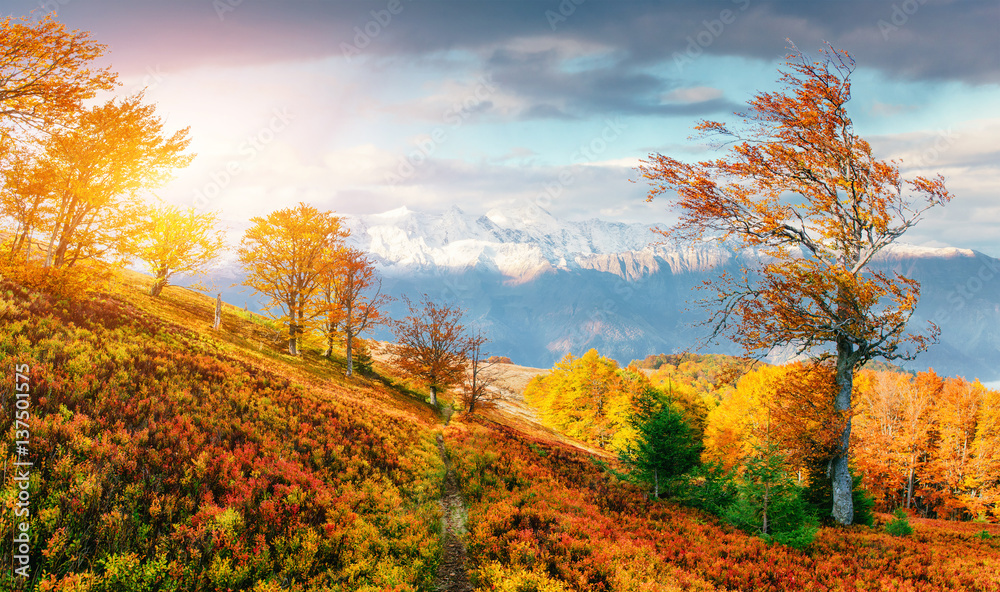 mountain range in the Carpathian Mountains in the autumn season.