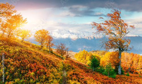 Fototapeta Naklejka Na Ścianę i Meble -  mountain range in the Carpathian Mountains in the autumn season.