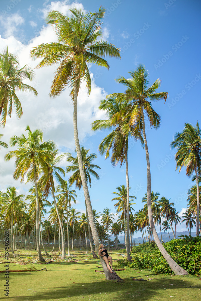 Palm forest. Coco palm trees with green leaves on sunny blue sky background