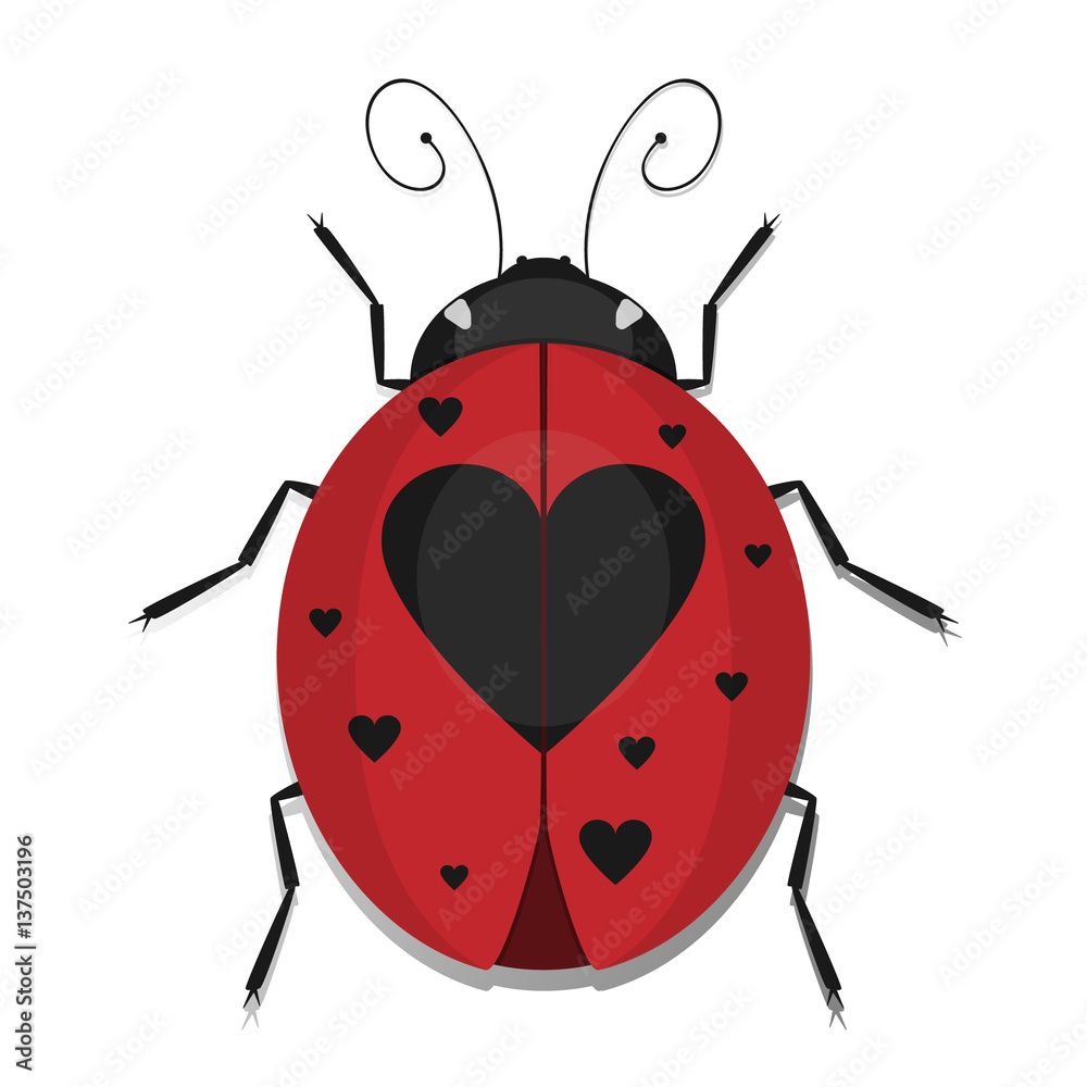 Obraz premium Heart Ladybug