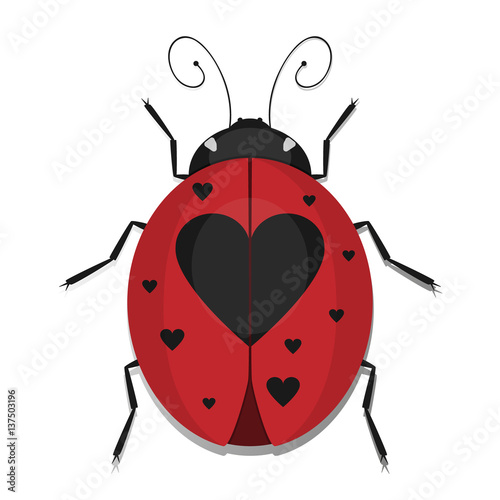 Heart Ladybug