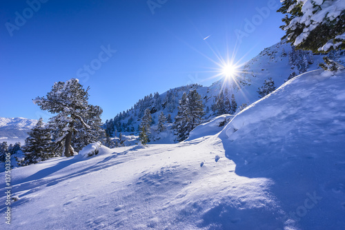 Sonnige Winterlandschaft photo