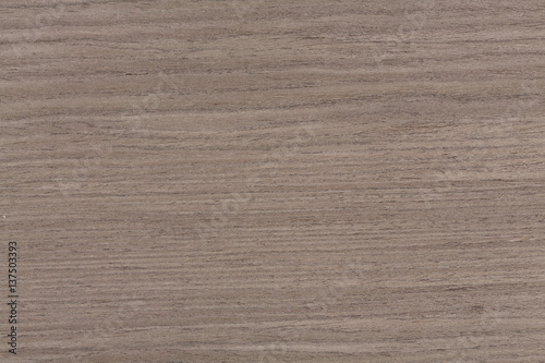Gray oak wood texture. Natural background for design.