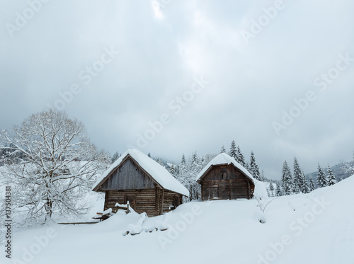 Winter Carpathian village.