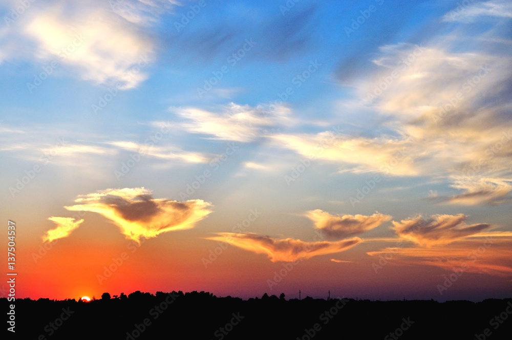 Obraz premium Summer sunset over the field.