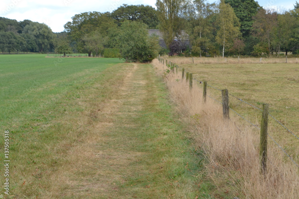 Fototapeta premium wandelpad door de weilanden van de Achterhoek bij Vorden