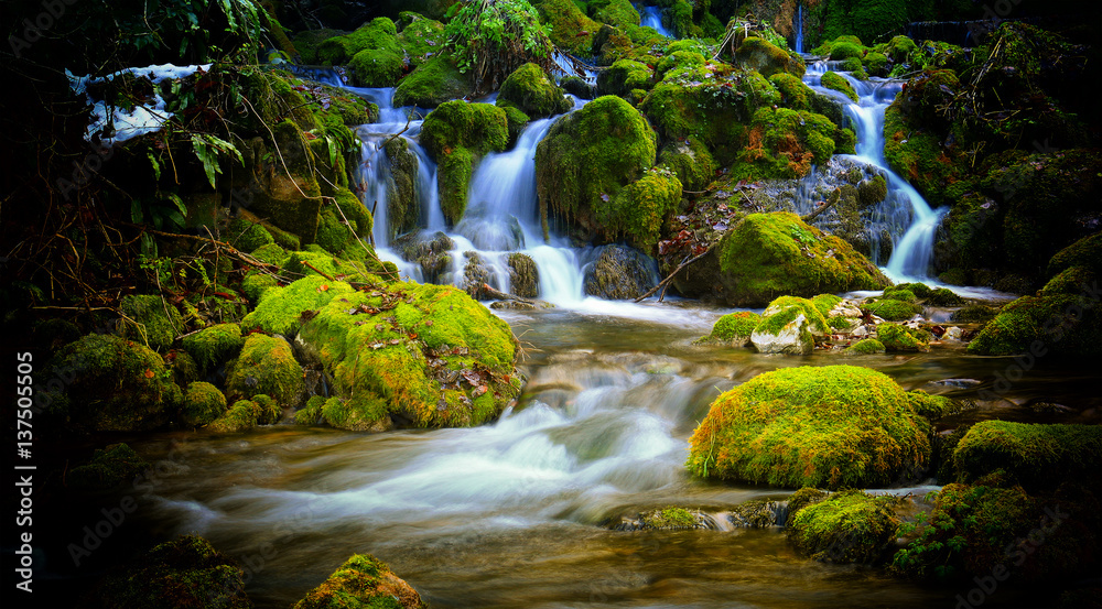 Fototapeta premium Mountain stream among the mossy stones