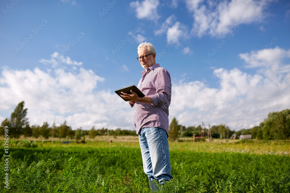 senior man with tablet pc computer at county senior man with tablet pc computer at county