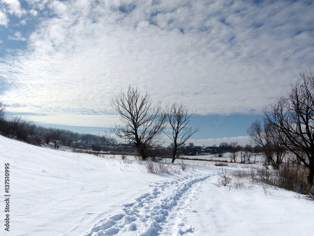 Winter landscape