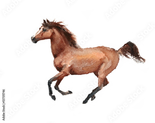 Watercolor Horse Running Hand Drawn Illustration Isolated on white background