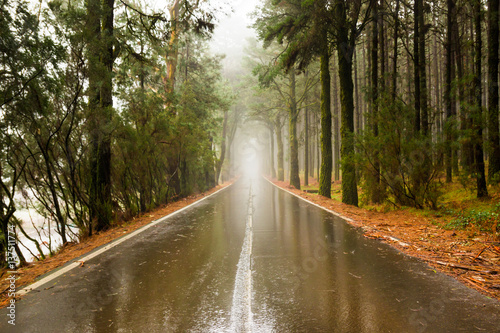 Road in clouds on Teide mountains in Tenerife  Canary Islands