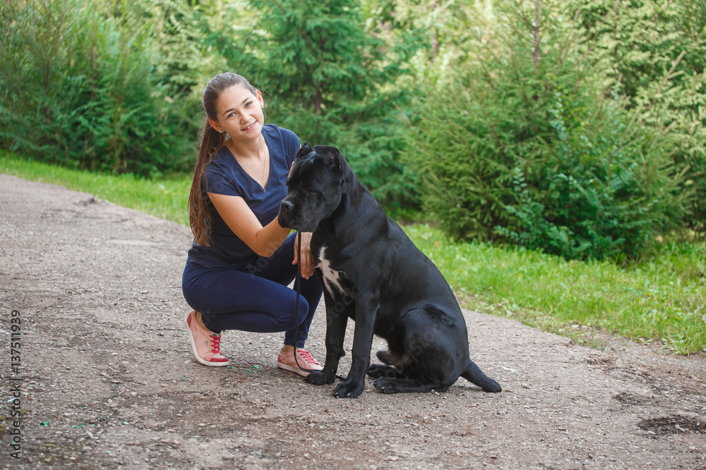Handler with a dog Cane Corso Italian Mastiff Handler with a dog Cane Corso Italian Mastiff