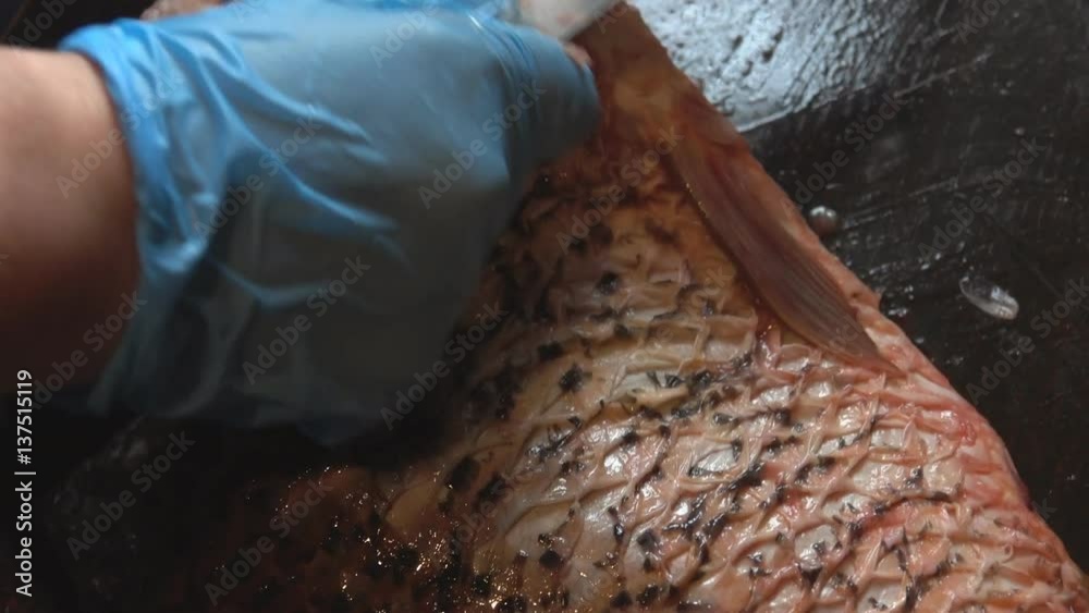 Cleaning and cutting of large fresh carp fish Cleaning and cutting of large fresh carp fish