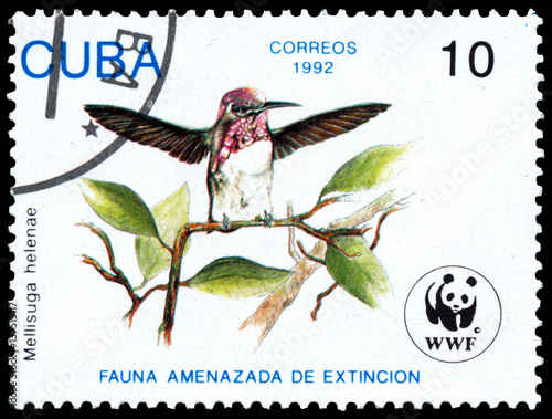 stamp printed in CUBA shows bird Mellisuga helenae photo