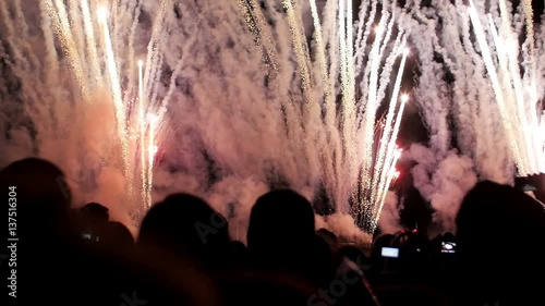A crowd of people watching fireworks