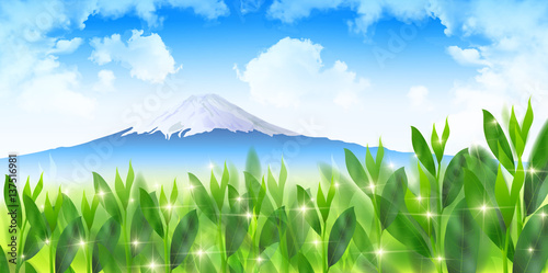 お茶　緑　富士山　背景