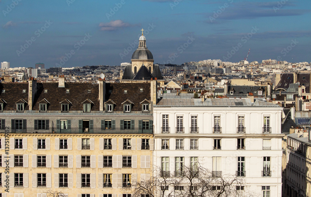 The panoramic view on parisian houses, Paris.