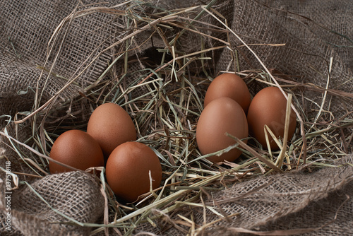 Ecological natural fresh eggs in bird nest born photo