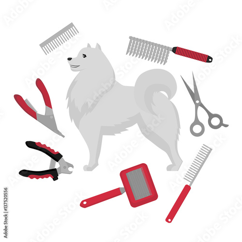 Flat grooming salon equipment set, dog haircut tools icons. Doggy groomer collection, nail clipper, cutter, Slicker and brush, comb, scissors and dematters. Samoyed puppy