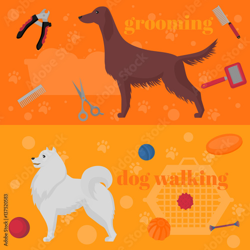 Horozontal banner, dog design elements, Irish setter and samoyed in flat style. Grooming, walking and training items.