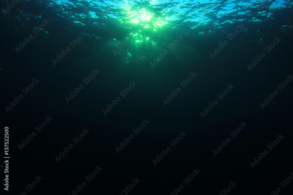 Underwater background in ocean Underwater background in ocean