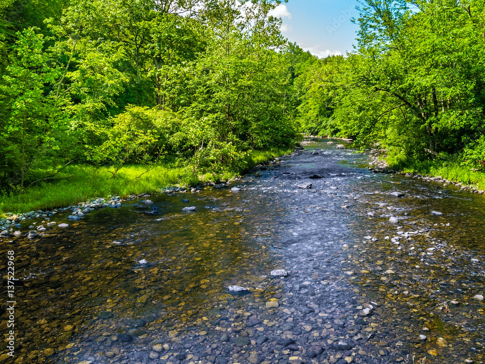 Vancampens Brook