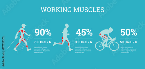Vector illustrated infographics banners with sport information.