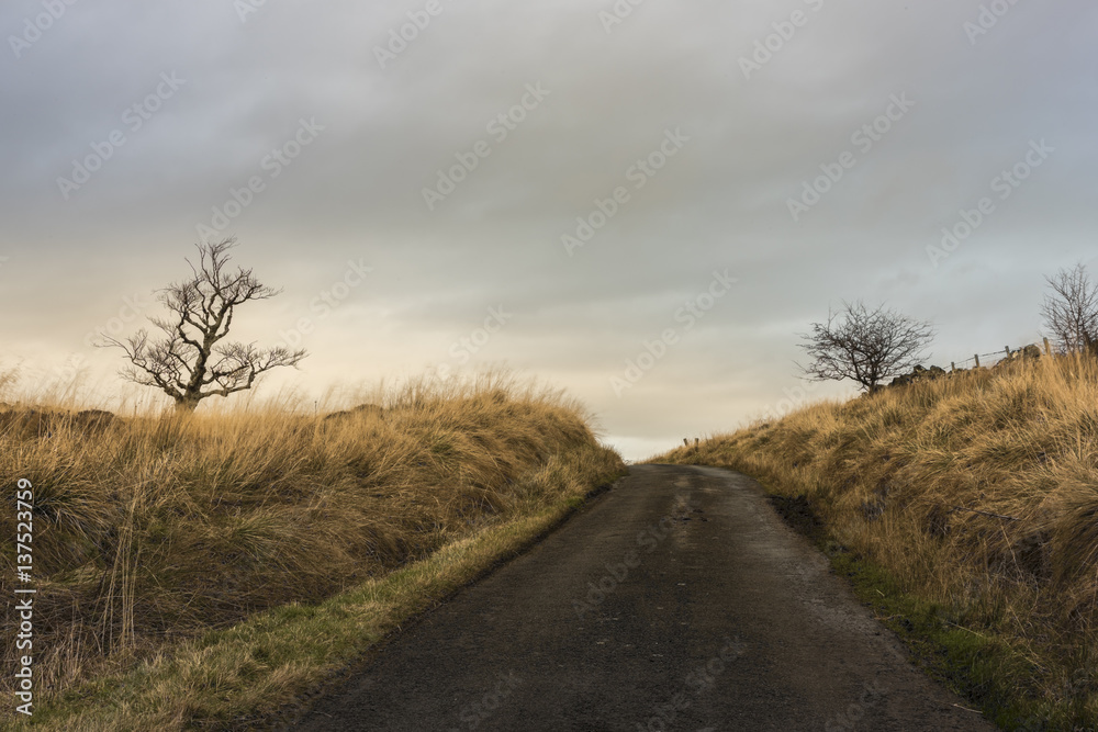 Beautiful sunrise at the end of the road