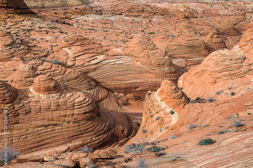 The Wave, Navajo Sandstone, Arizona The Wave, Navajo Sandstone, Arizona