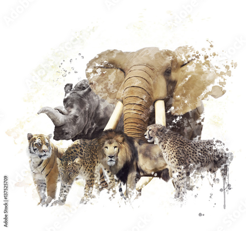 Canvas Print Wild Animals Watercolor