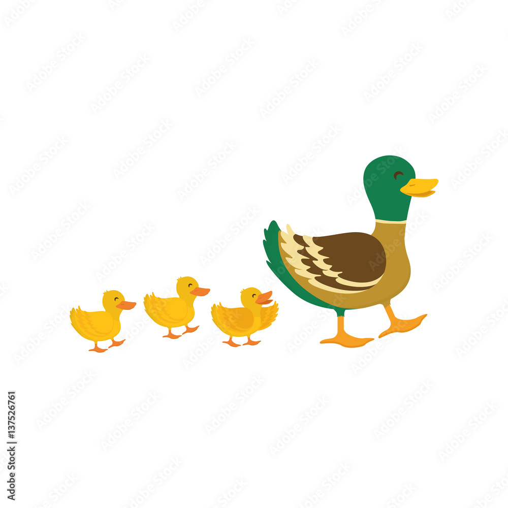 duck farm animal icon vector illustration graphic design