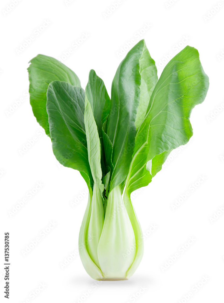 Fresh organic Bok choy isolated on white background
