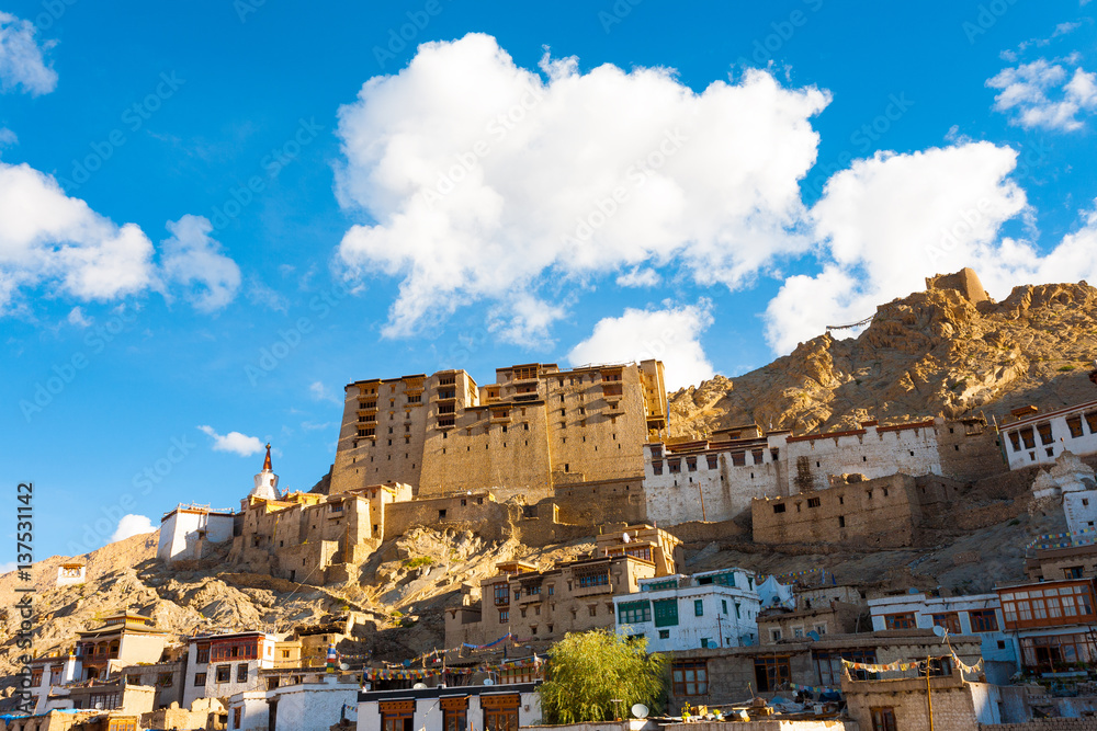 Leh Palace Hill Front View Houses H