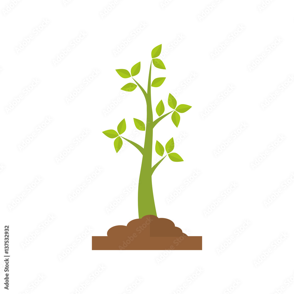 Fototapeta premium Nature plant ecology icon vector illustration graphic design
