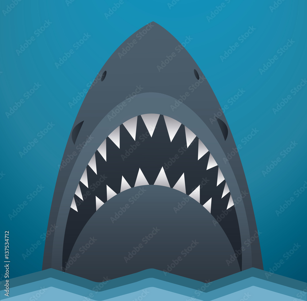 Fototapeta premium Shark vector illustration 