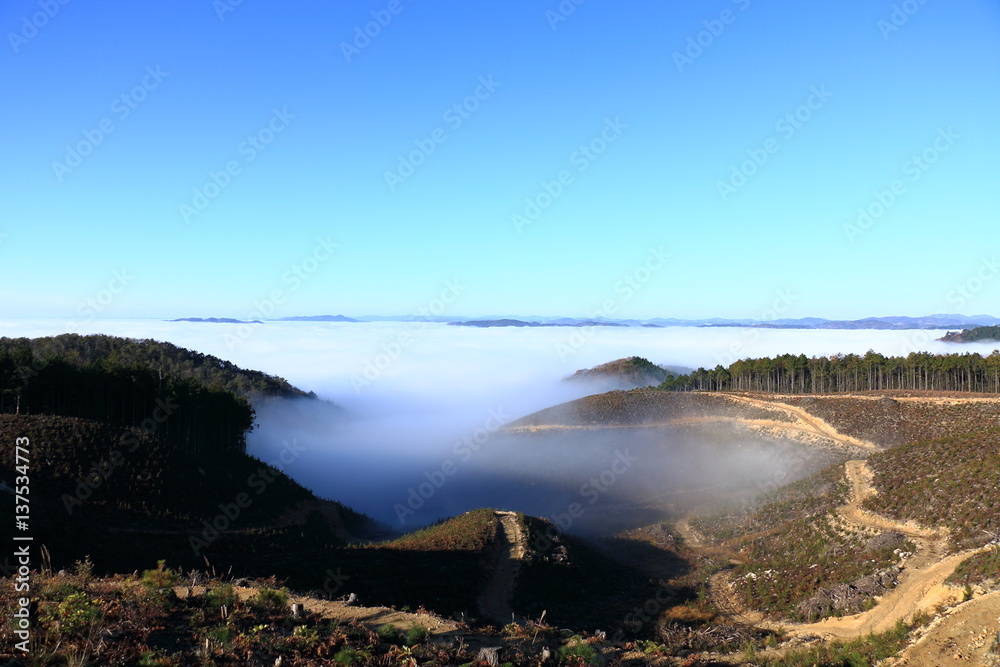 Blue skies and the sea of clouds and grasslands
