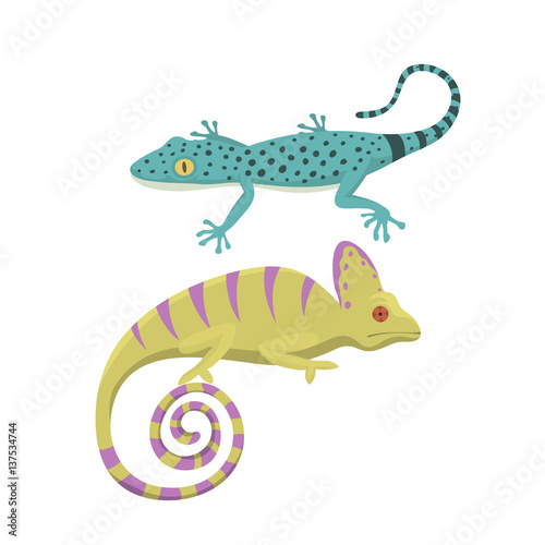 Different kind of lizard reptile isolated vector illustration.