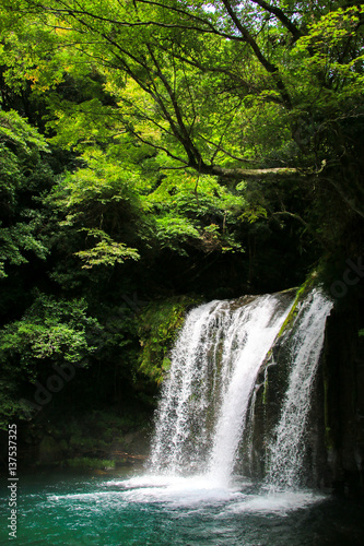 河津七滝