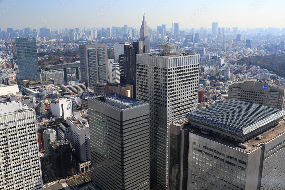 Obraz premium 副都心新宿の高層ビル群