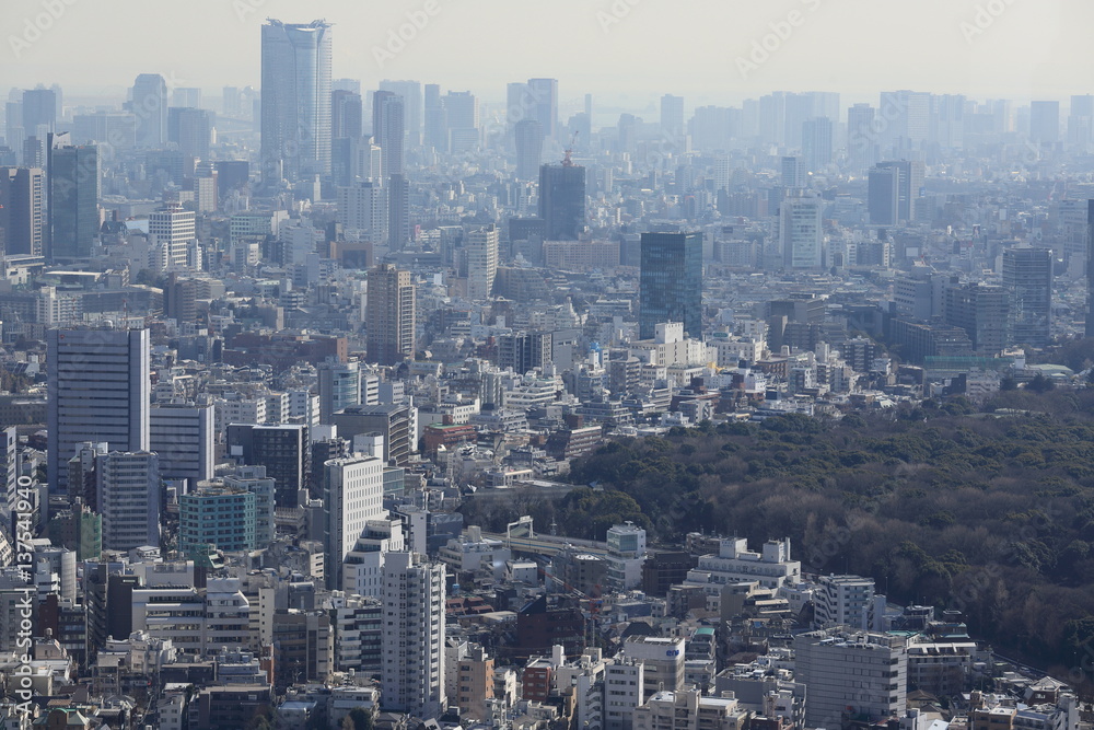 春霞に煙る大都市・東京の風景