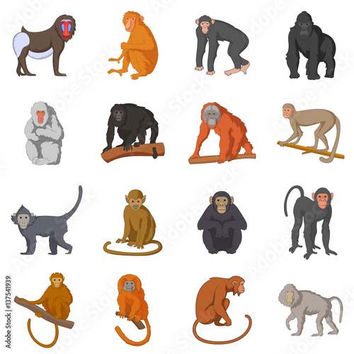 Different monkeys icons set, cartoon style