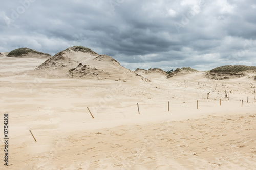 a moving dunes